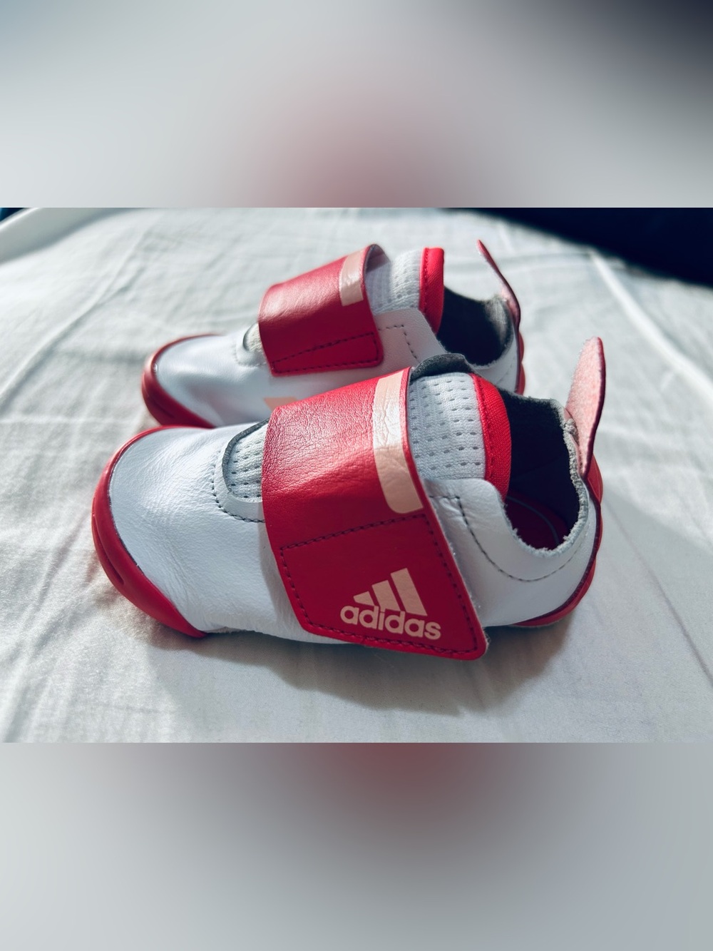 adidas White and Red Infant Hook-and-Loop Trainer - ECO Ortholite
